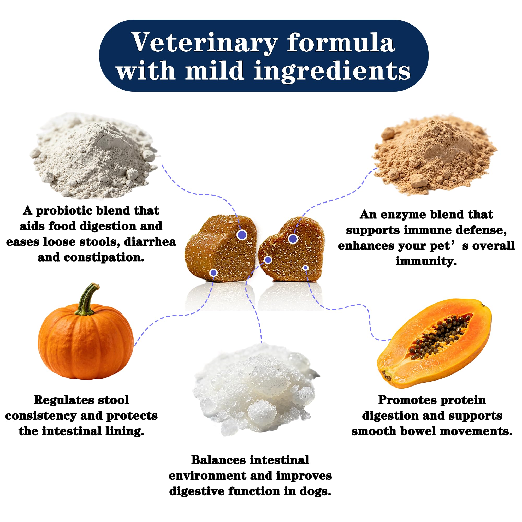 OurCares Probiotics for Dogs bottle label showcases a science-backed digestive aid.