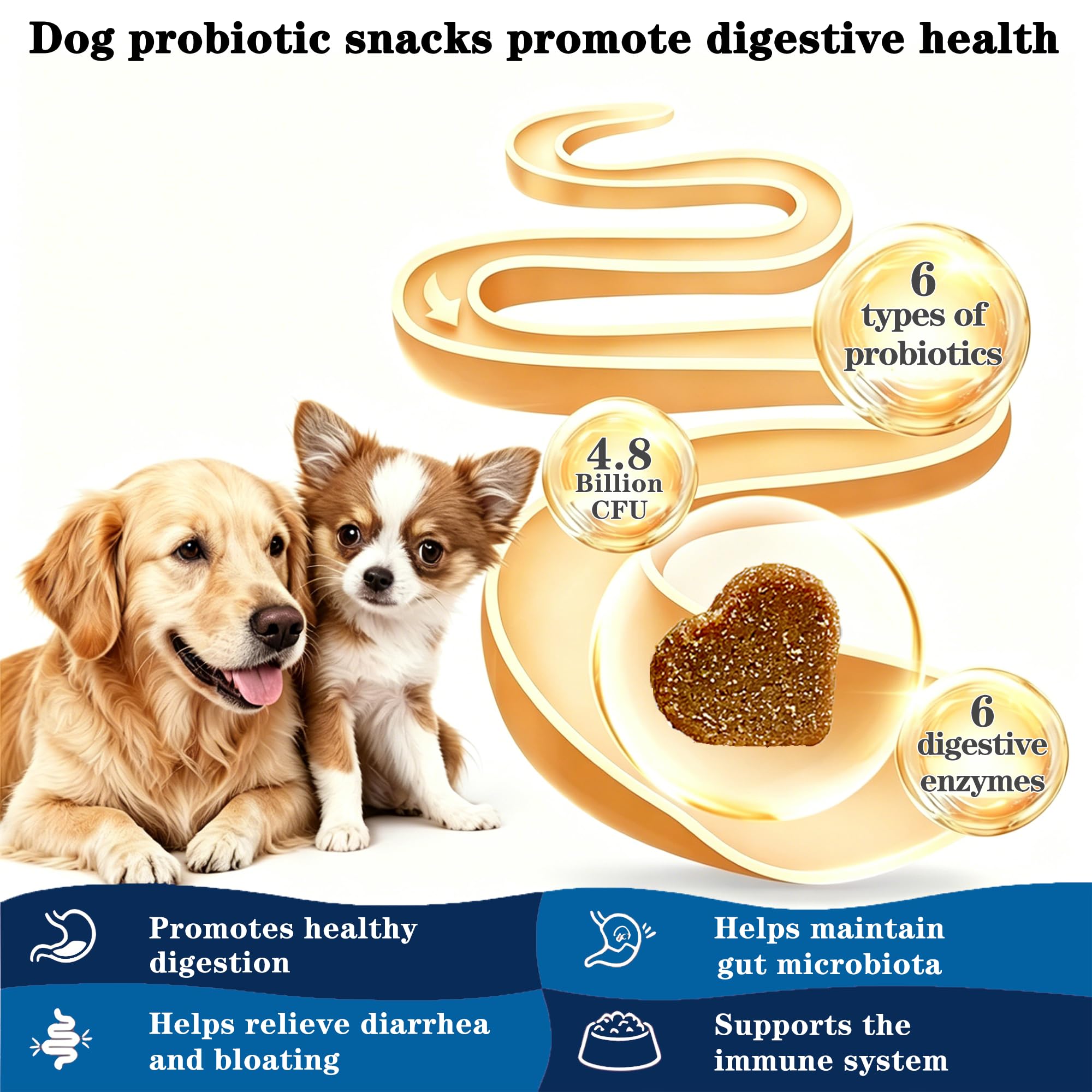 OurCares Probiotics for Dogs chews close-up highlighting ingredients and palatable appeal.