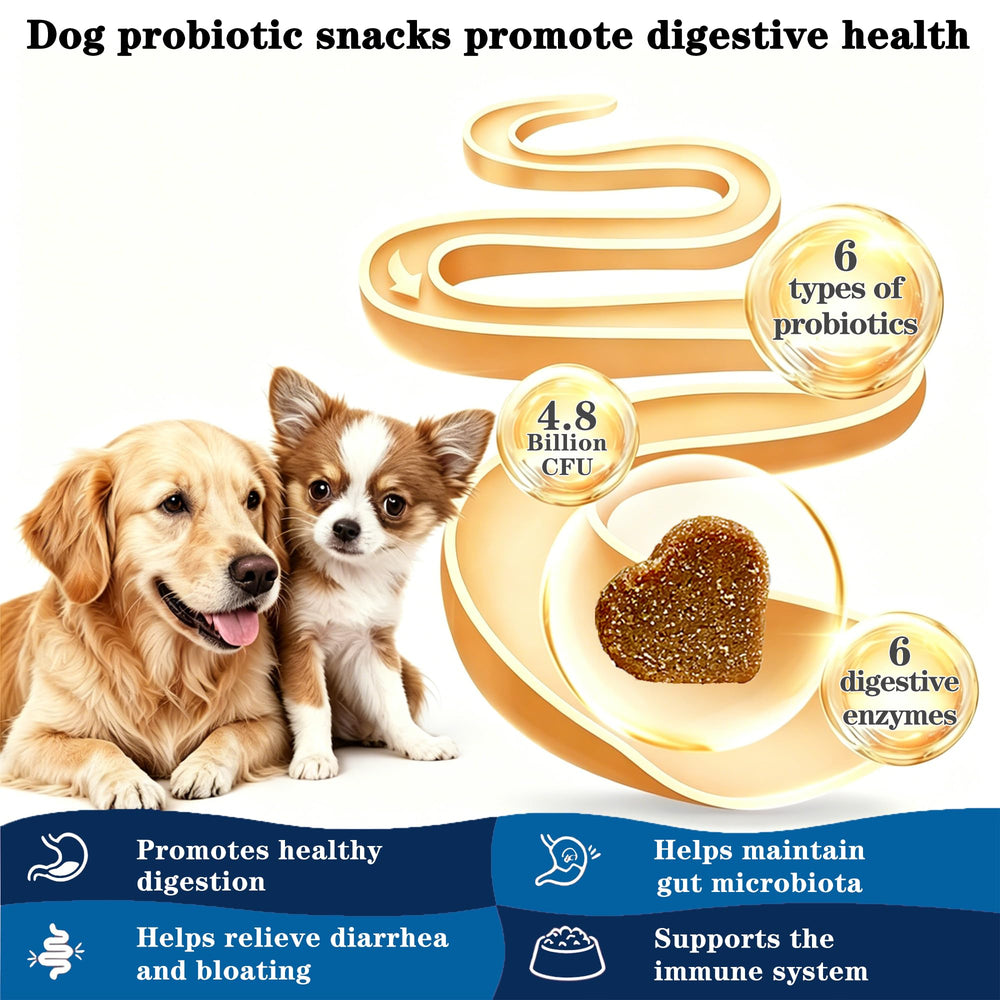 OurCares Probiotics for Dogs chews close-up highlighting ingredients and palatable appeal.