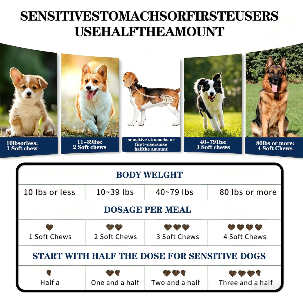 OurCares Probiotics for Dogs enzyme blend ingredients image highlighting Amylase Protease Lipase.