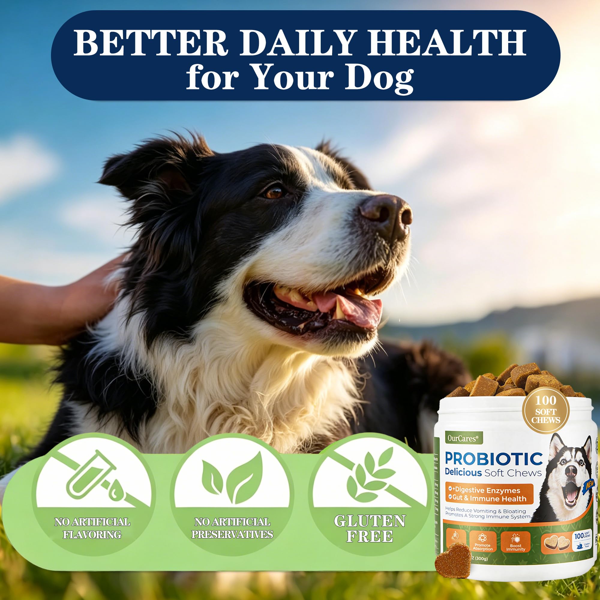 OurCares Probiotics for Dogs gut balance graphic suggesting calm digestion.