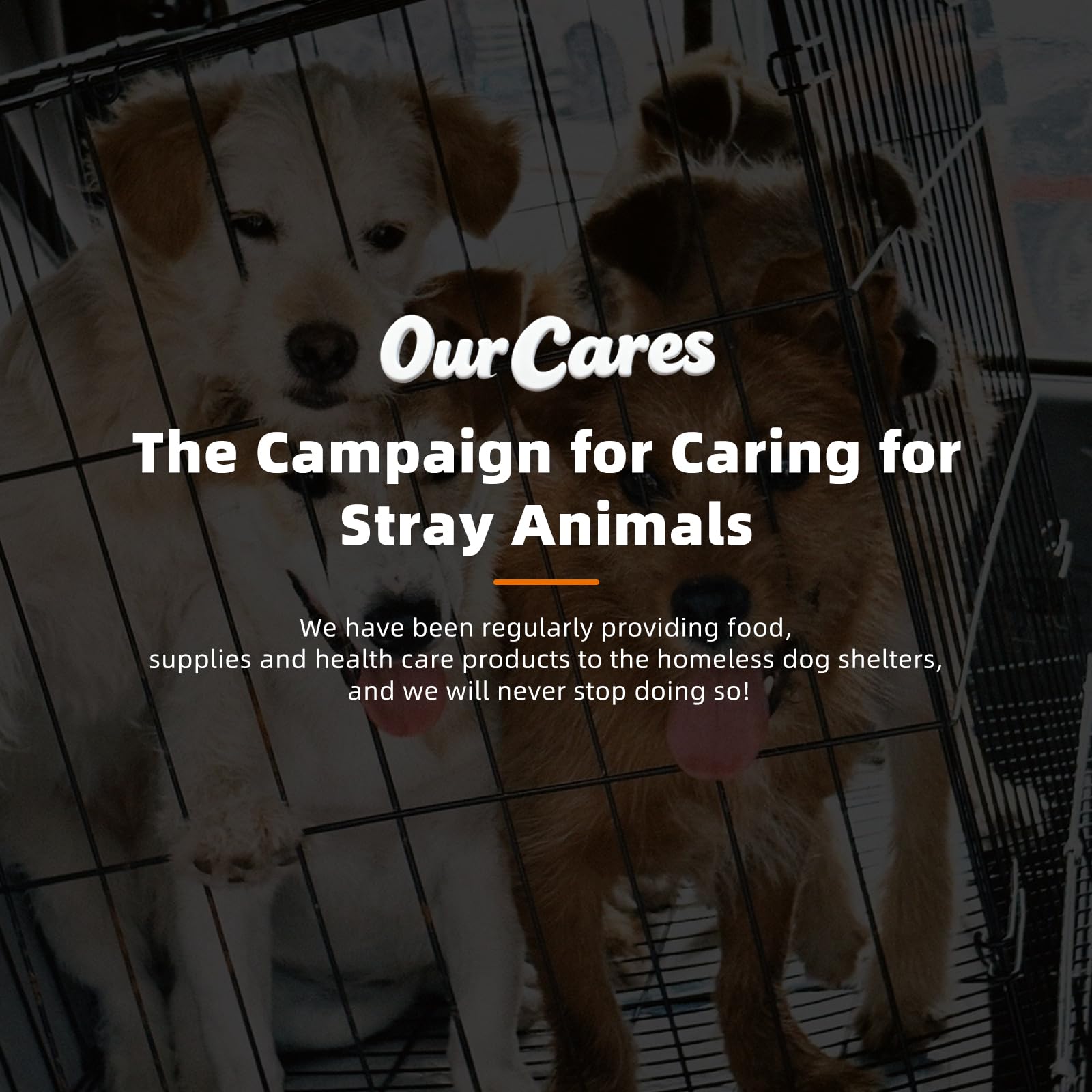 OurCares Probiotics for Dogs packaging design shown for shelf appeal.