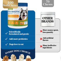 OurCares Probiotics for Dogs serving chews ready to support daily gut balance.
