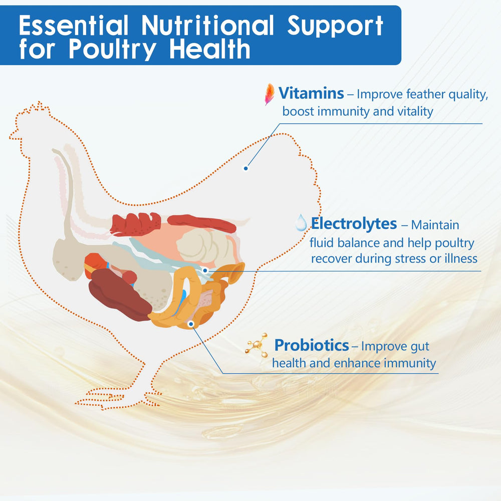 Flock vitality and stress resilience with easy hydration.