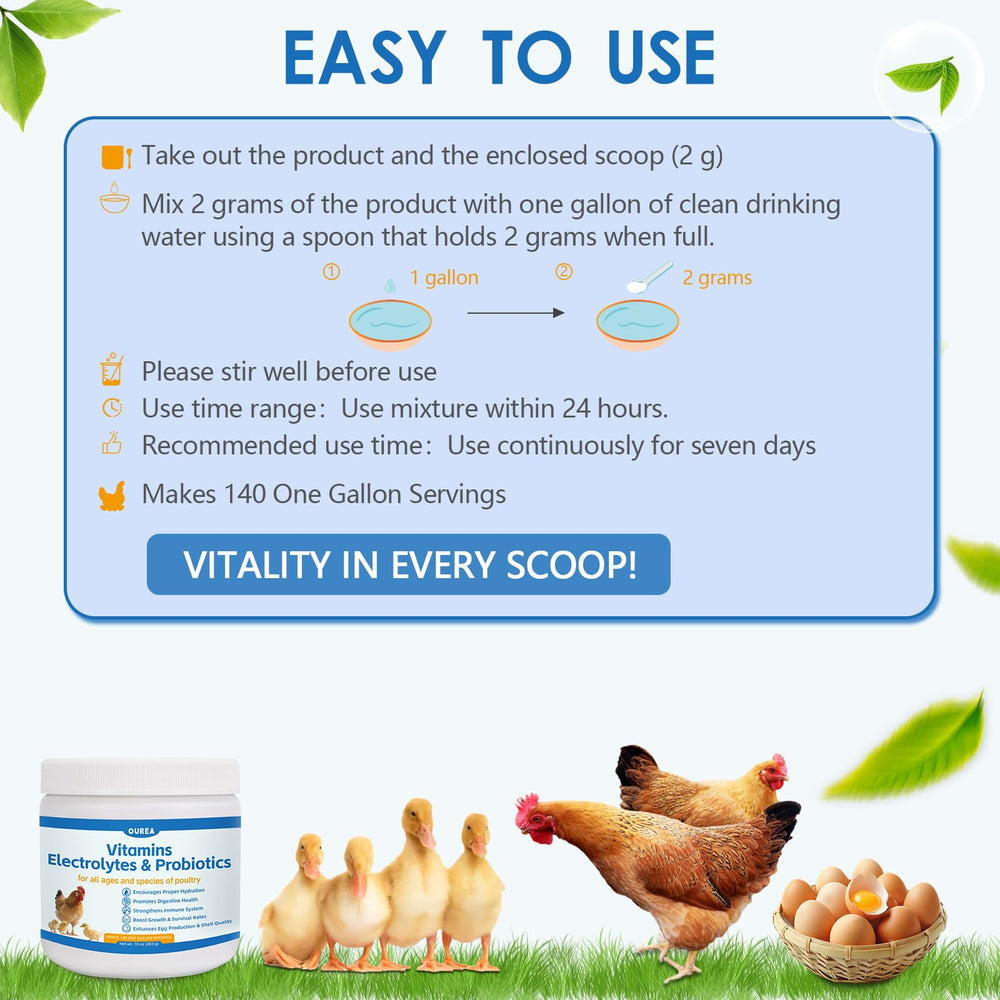 Hens benefit from nutrition boost supporting daily egg production.