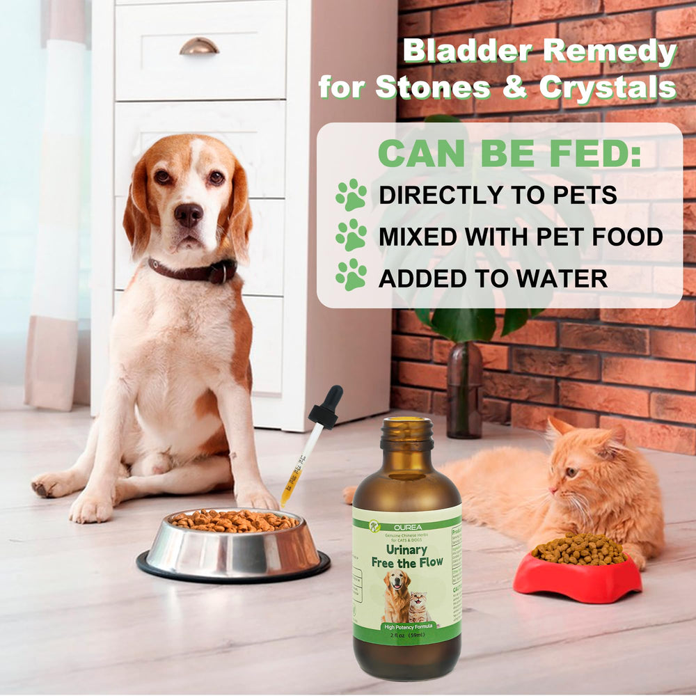 Ourea Pet daily-stone-care routine supports urinary health.