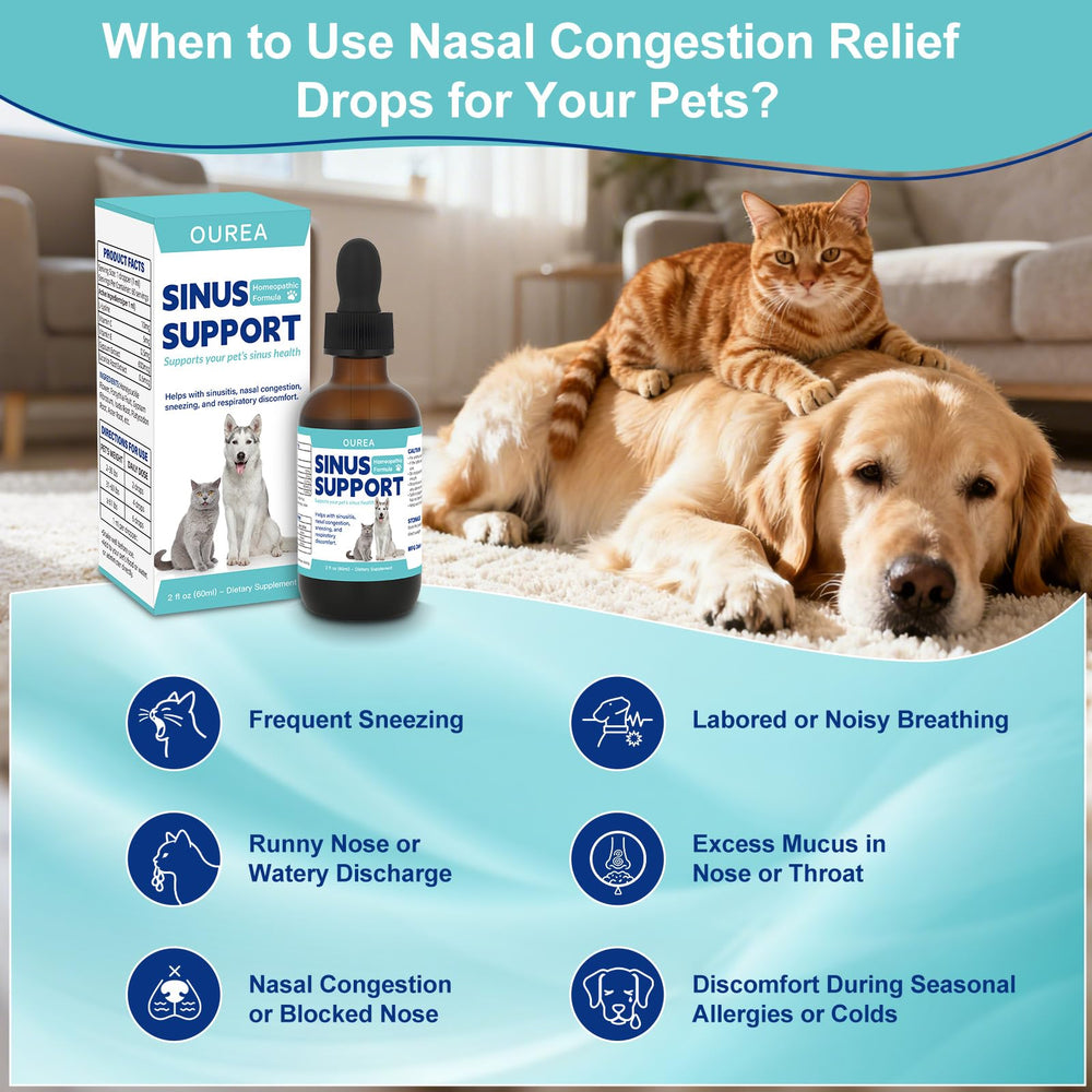 Ourea drops for dogs in use scene suggesting seasonal comfort.