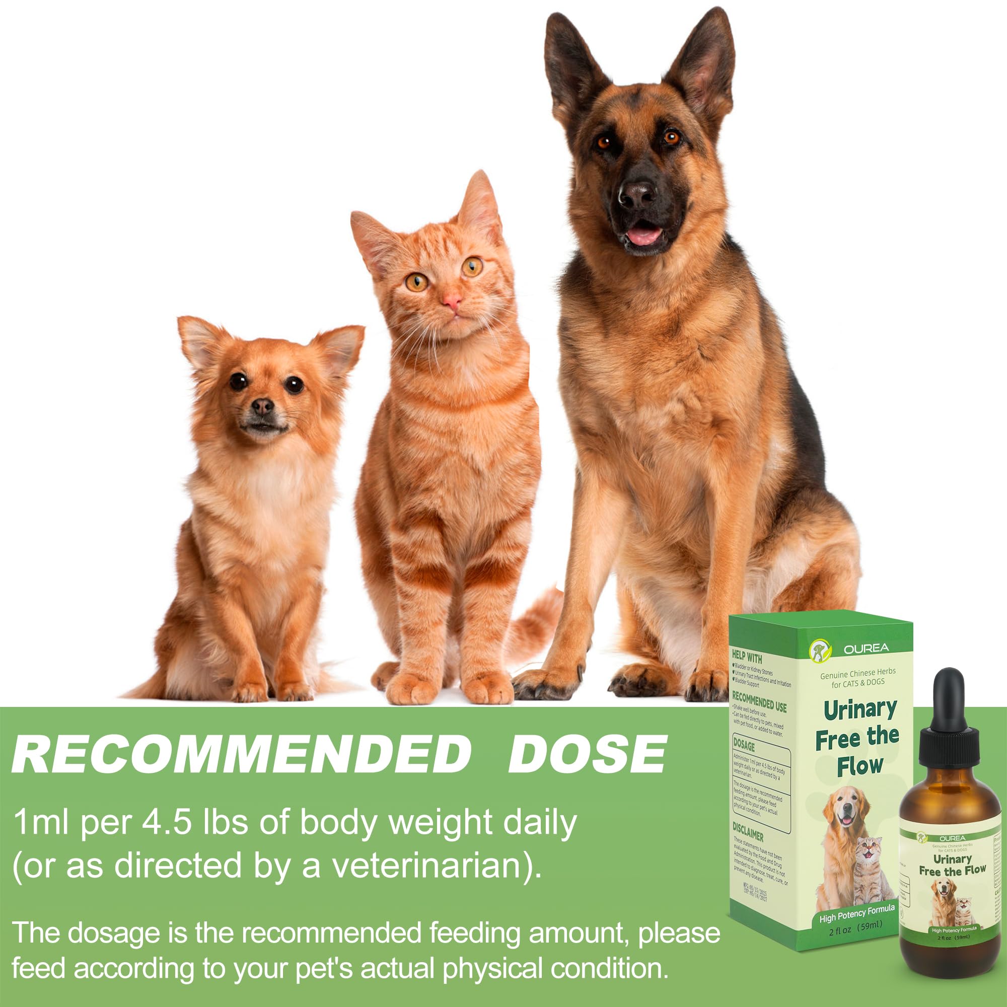 Ourea Daily stone care use promotes bonding and wellness.