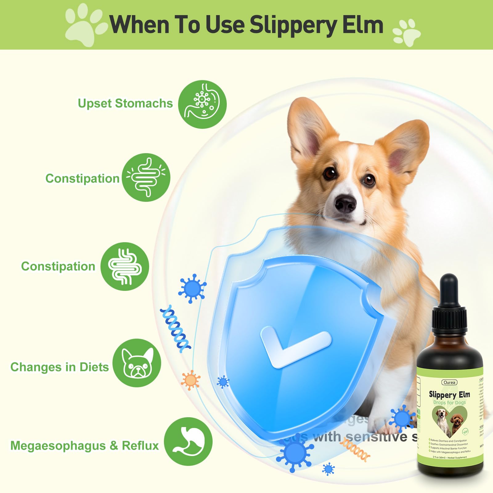 Ourea Slippery Elm Drops dropper ensures accurate dosing per size for easy administration.