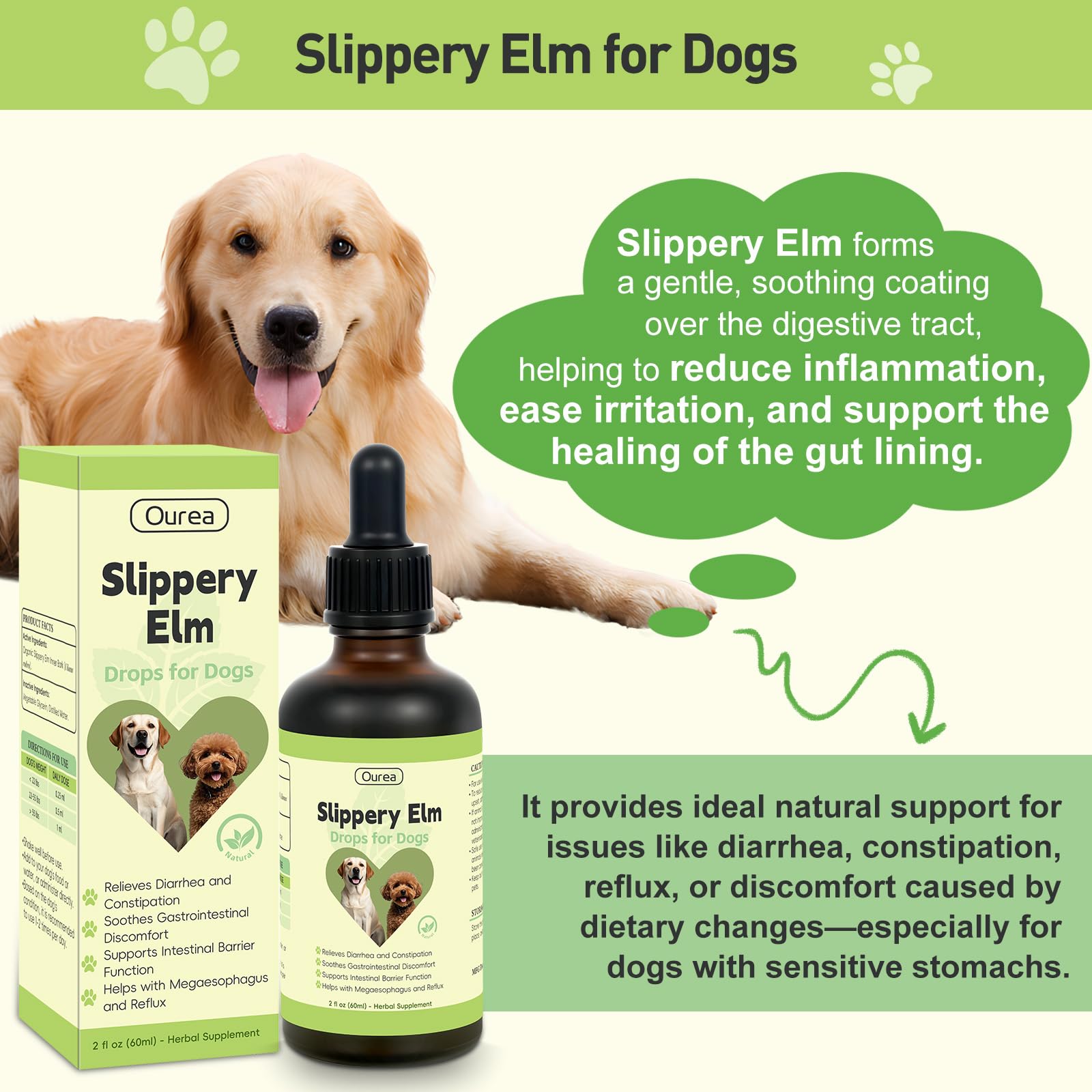 Ourea Slippery Elm Drops close-up of drops cap shows clean herbal formula.