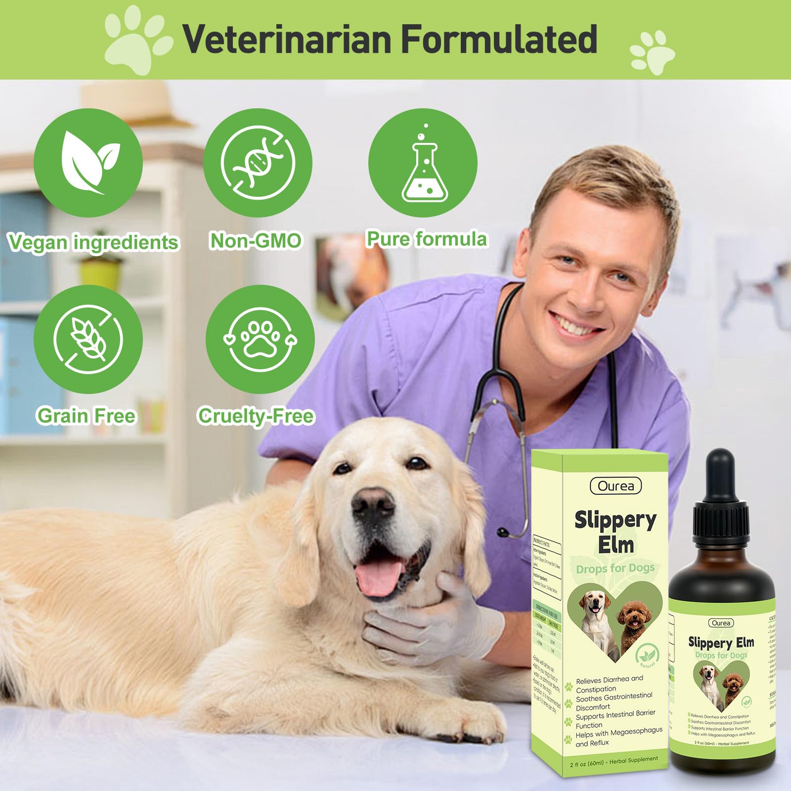 Ourea Slippery Elm Drops in use during a calm dog routine for gentle digestive support.