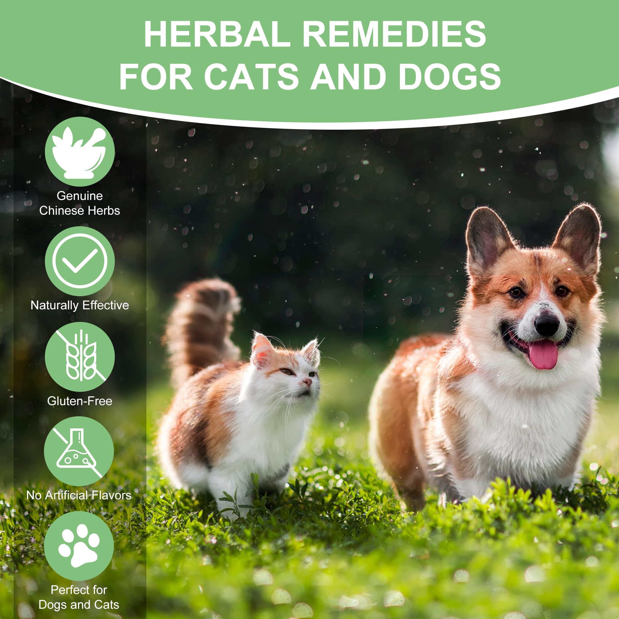 Ourea stone care bottle label highlights veterinarian-informed conditioning approach.