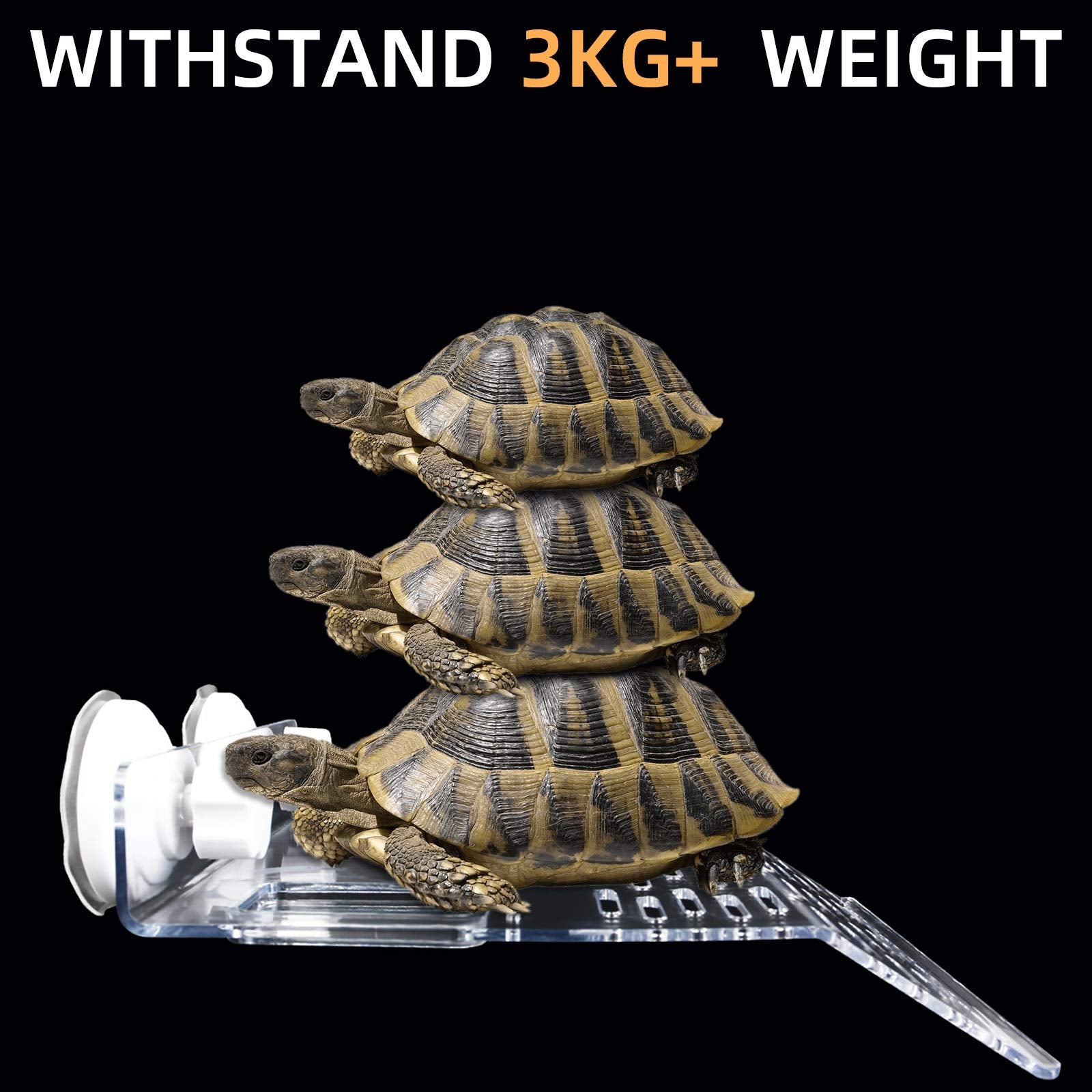 ourjob large 24x20 cm platform provides ample basking area.