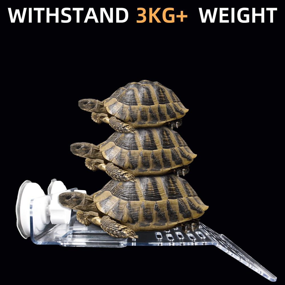 ourjob large 24x20 cm platform provides ample basking area.