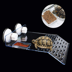 ourjob stepped basking platform promotes natural climbing and more activity.