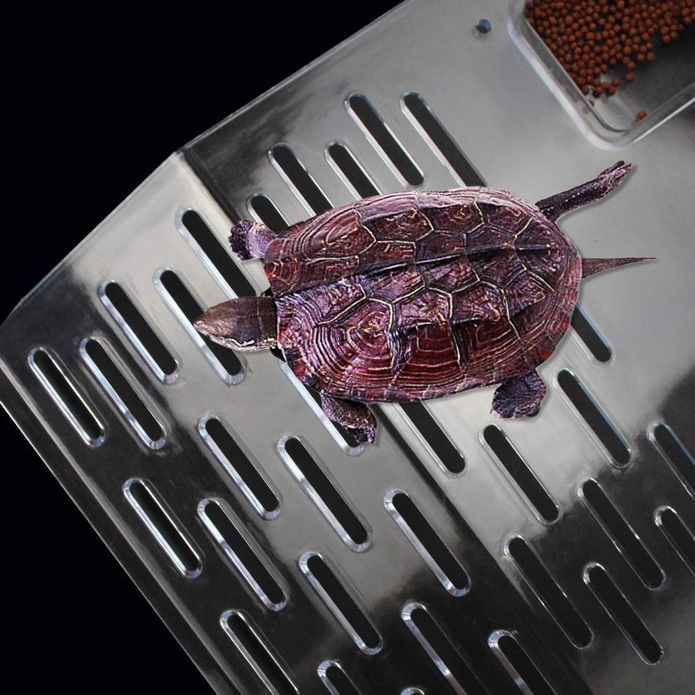 ourjob transparent platform stays visually unobtrusive in the tank.