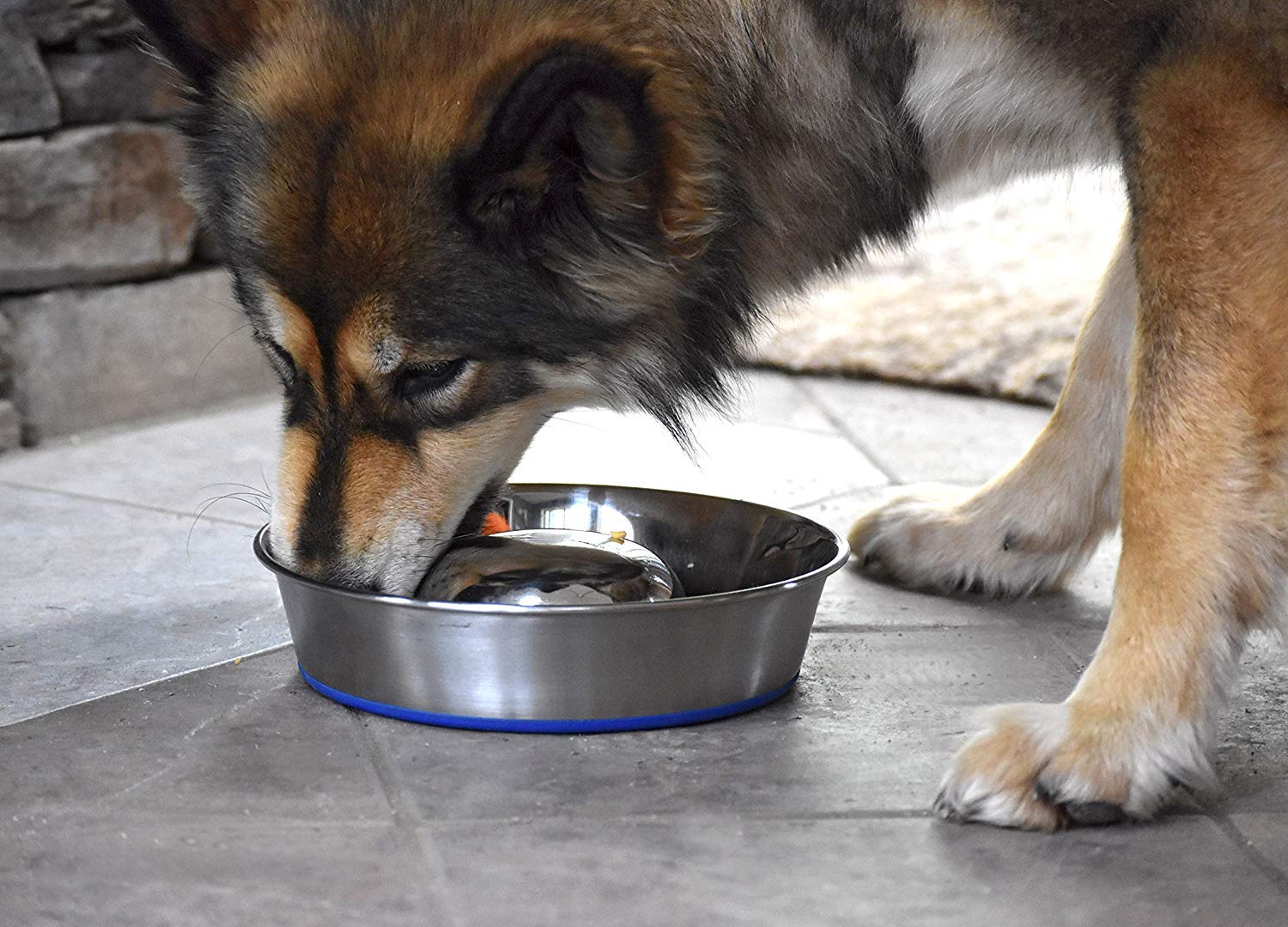 OurPets DuraPet slow feed bowl shown with anti-slip base reducing movement and noise