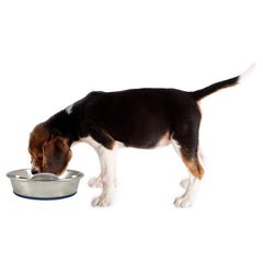OurPets DuraPet slow feed bowl in stainless steel, dishwasher-safe for easy cleaning