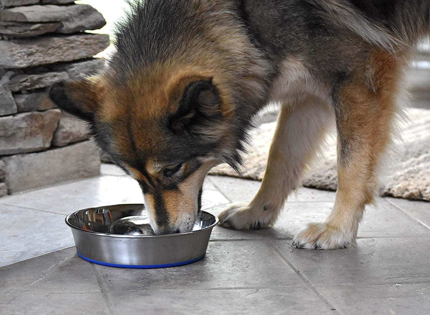 OurPets DuraPet slow feed bowl in large capacity designed for bigger appetites