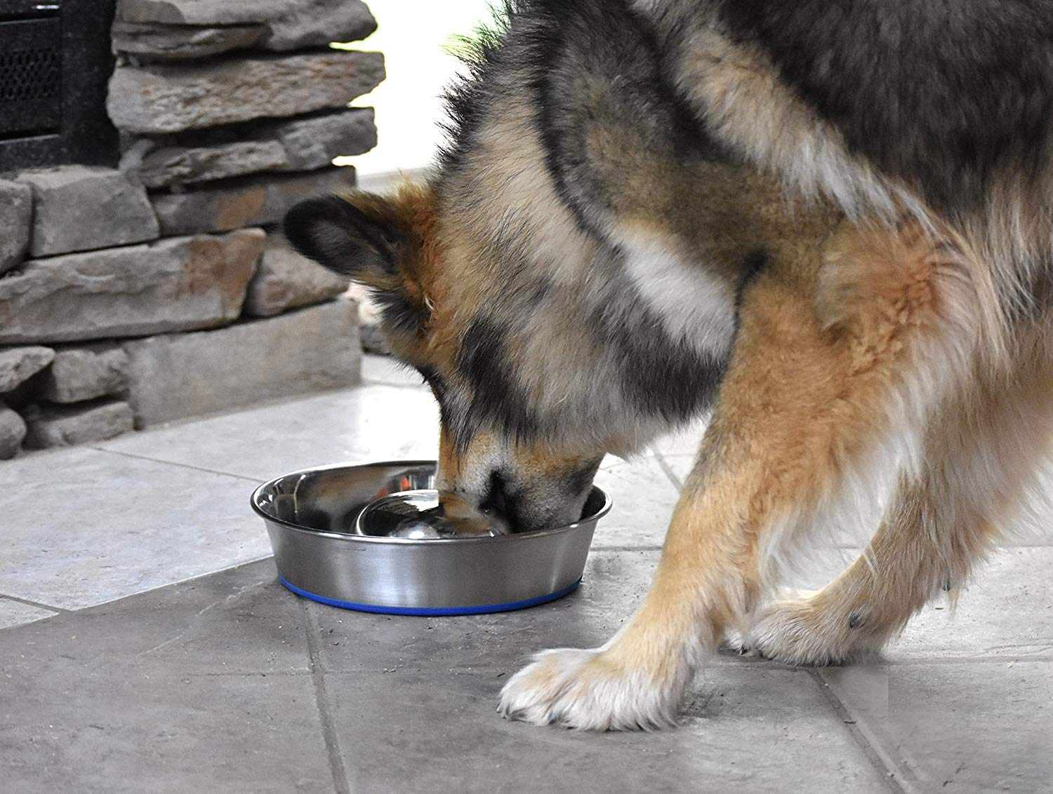 OurPets DuraPet slow feed bowl shown in medium capacity for standard meals