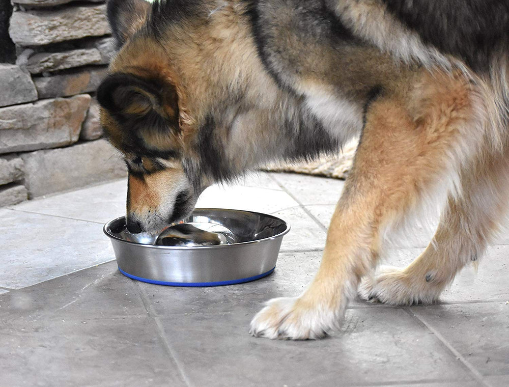 OurPets DuraPet slow feed bowl shown in small capacity for compact feeding