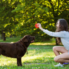 Ousiya odorless TPR ball ideal for safe teething play.