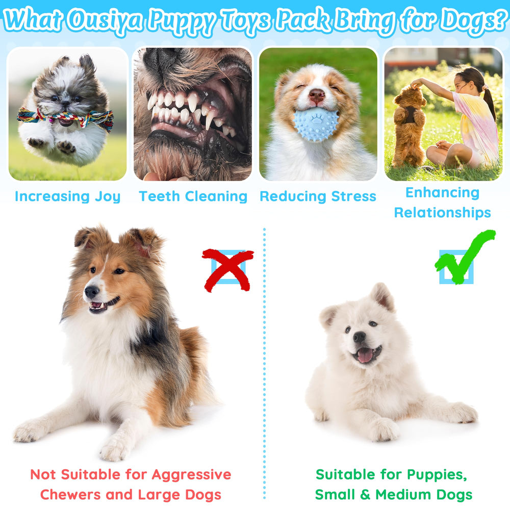 Ousiya plush squeaky dog toys for interactive play and rewards.