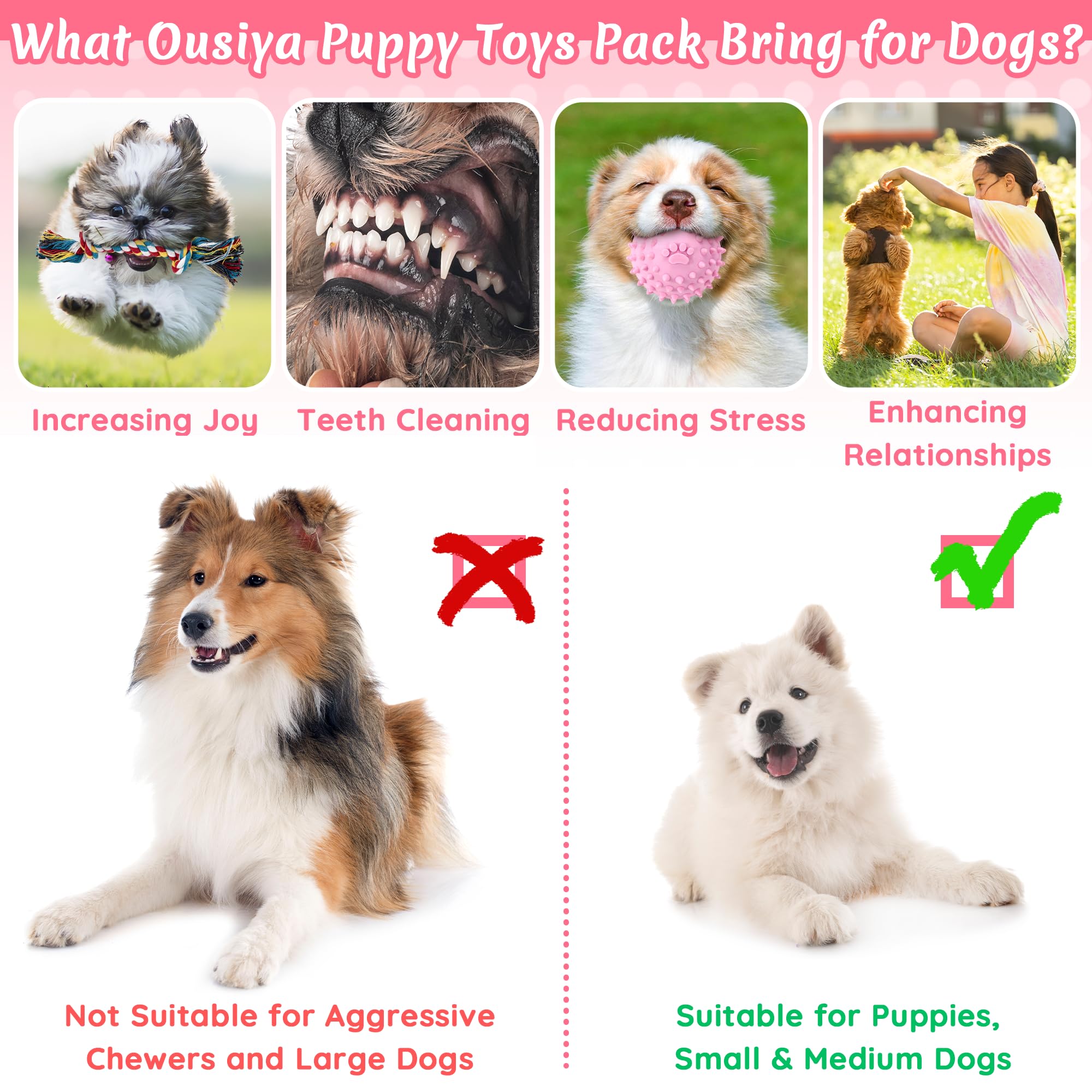 Ousia squeaky ball for small dogs to encourage active play sessions.