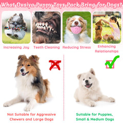 Ousia squeaky ball for small dogs to encourage active play sessions.