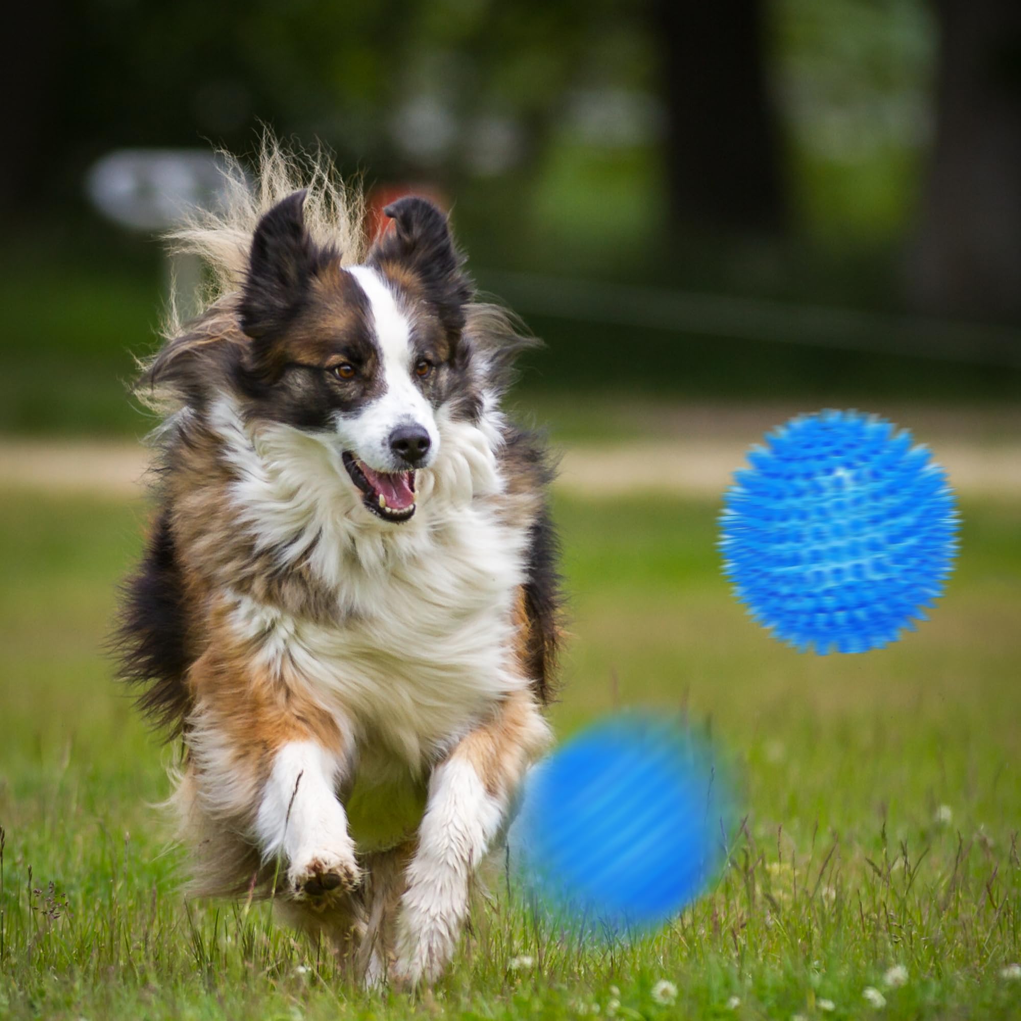 Ousiya squeaky ball helps channel energy and protect furniture.