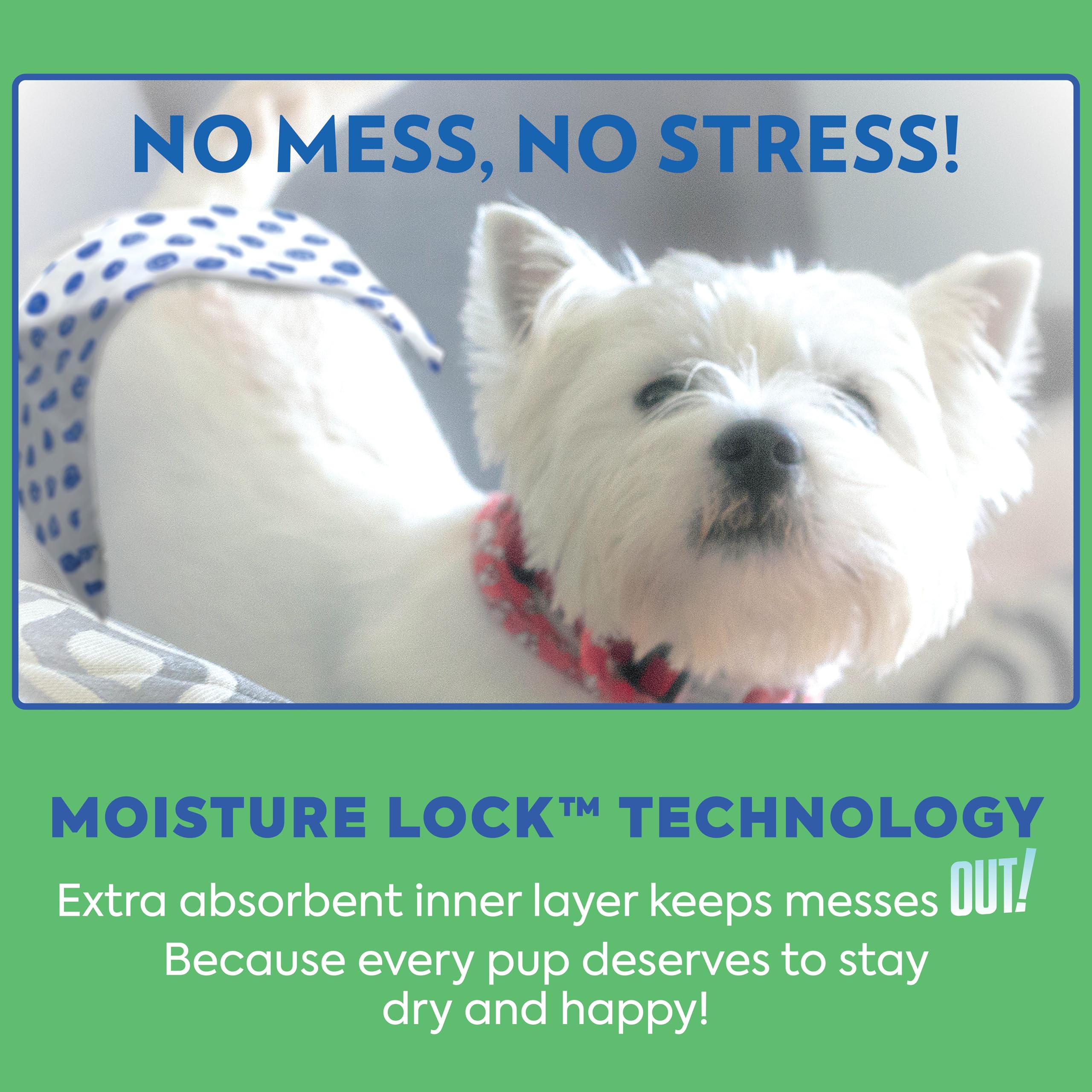 OUT! PetCare 18–25 inch waist fit for secure daily wear