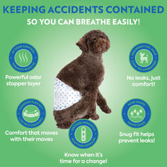 OUT! PetCare wrap shows absorbent core in action for leak protection