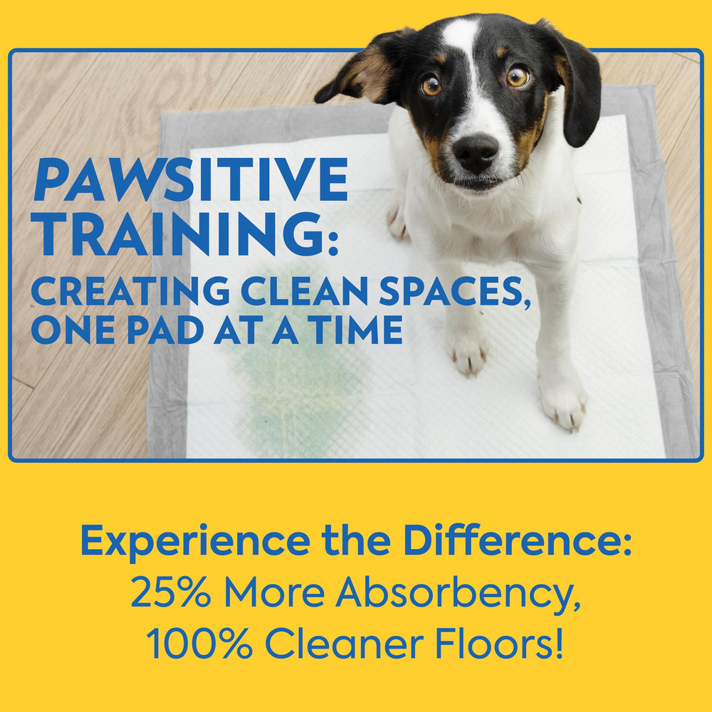 OUT! Petcare large dog pads designed for housebreaking and training