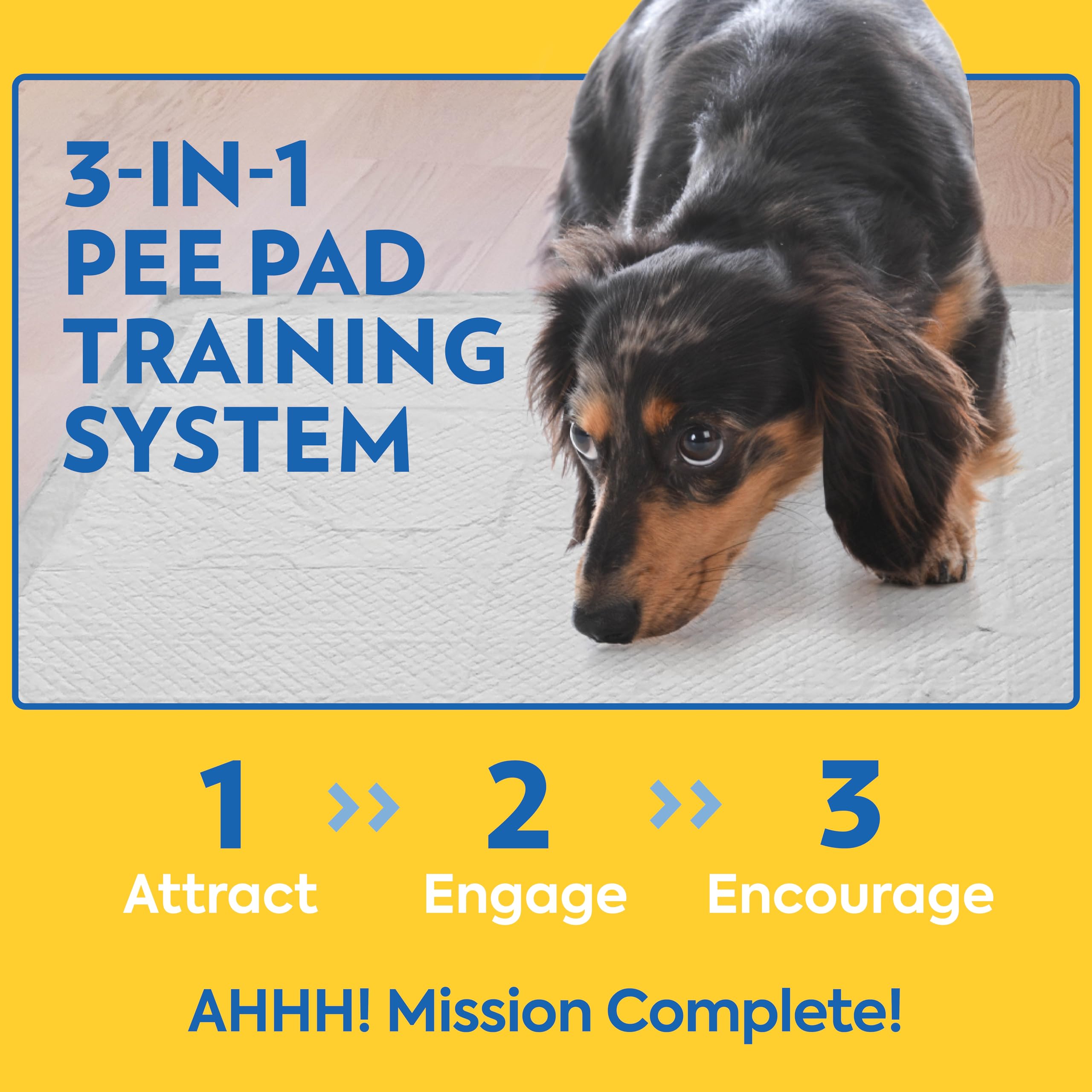 OUT! Petcare pads with odor-control technology to keep spaces fresh