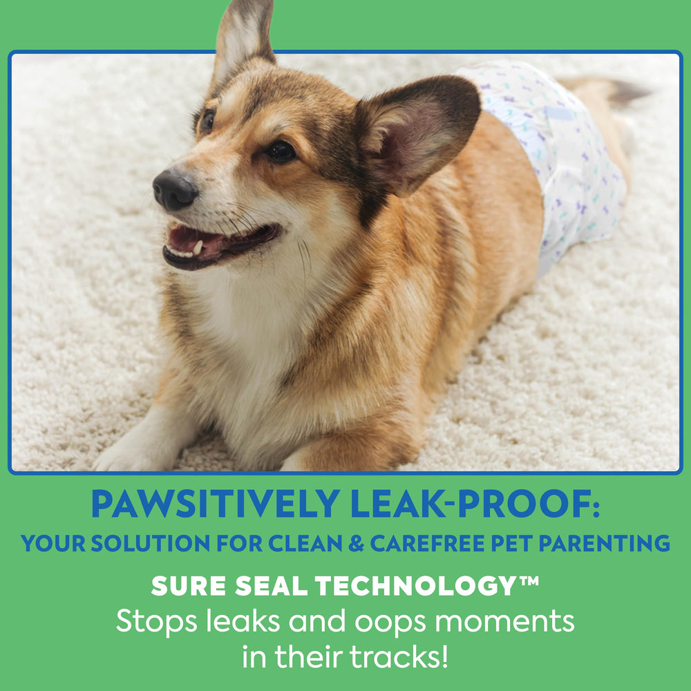 OUT! PetCare stretchy leak barriers support movement while protecting floors.