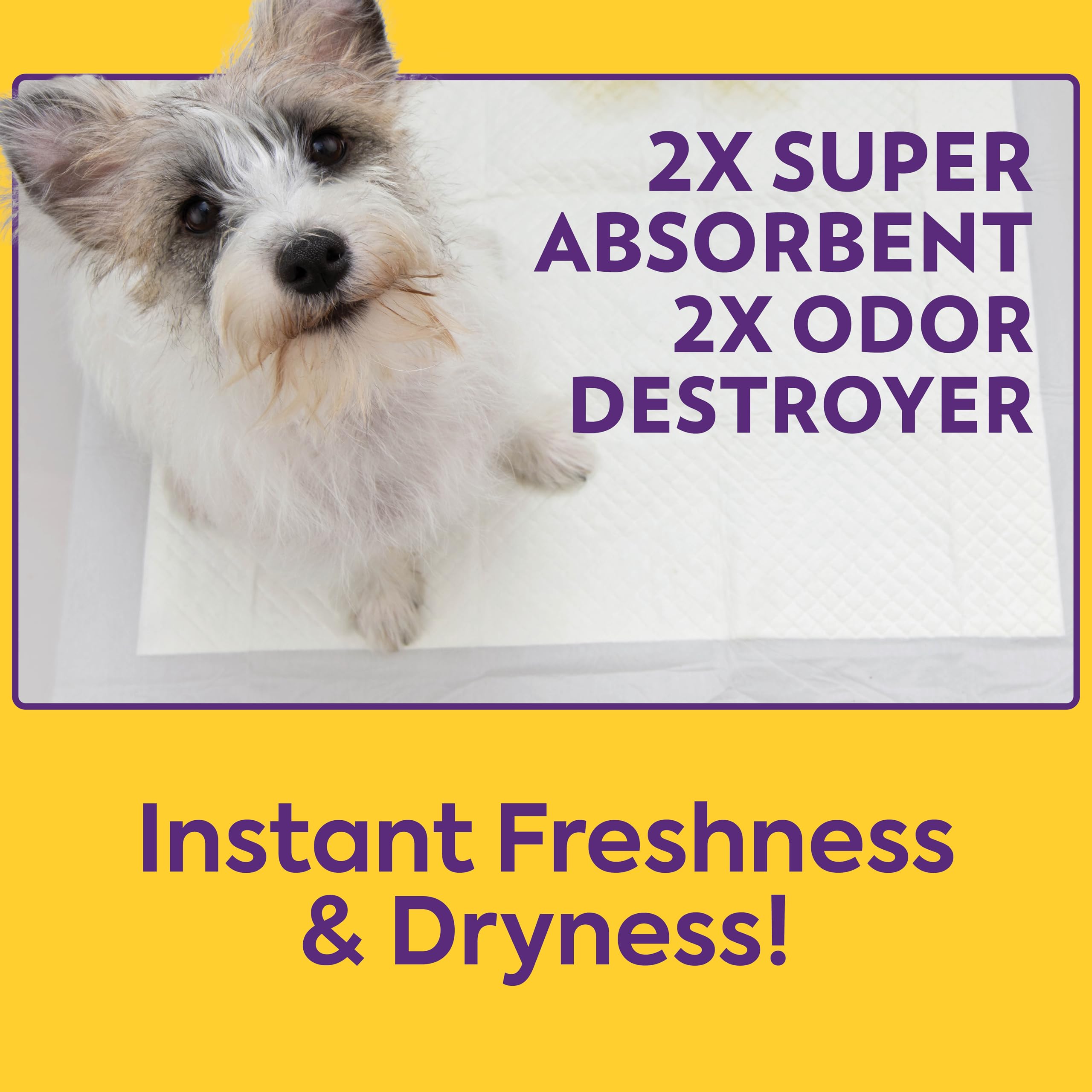OUT! PetCare XL pads ideal for crates and indoor potty setups.