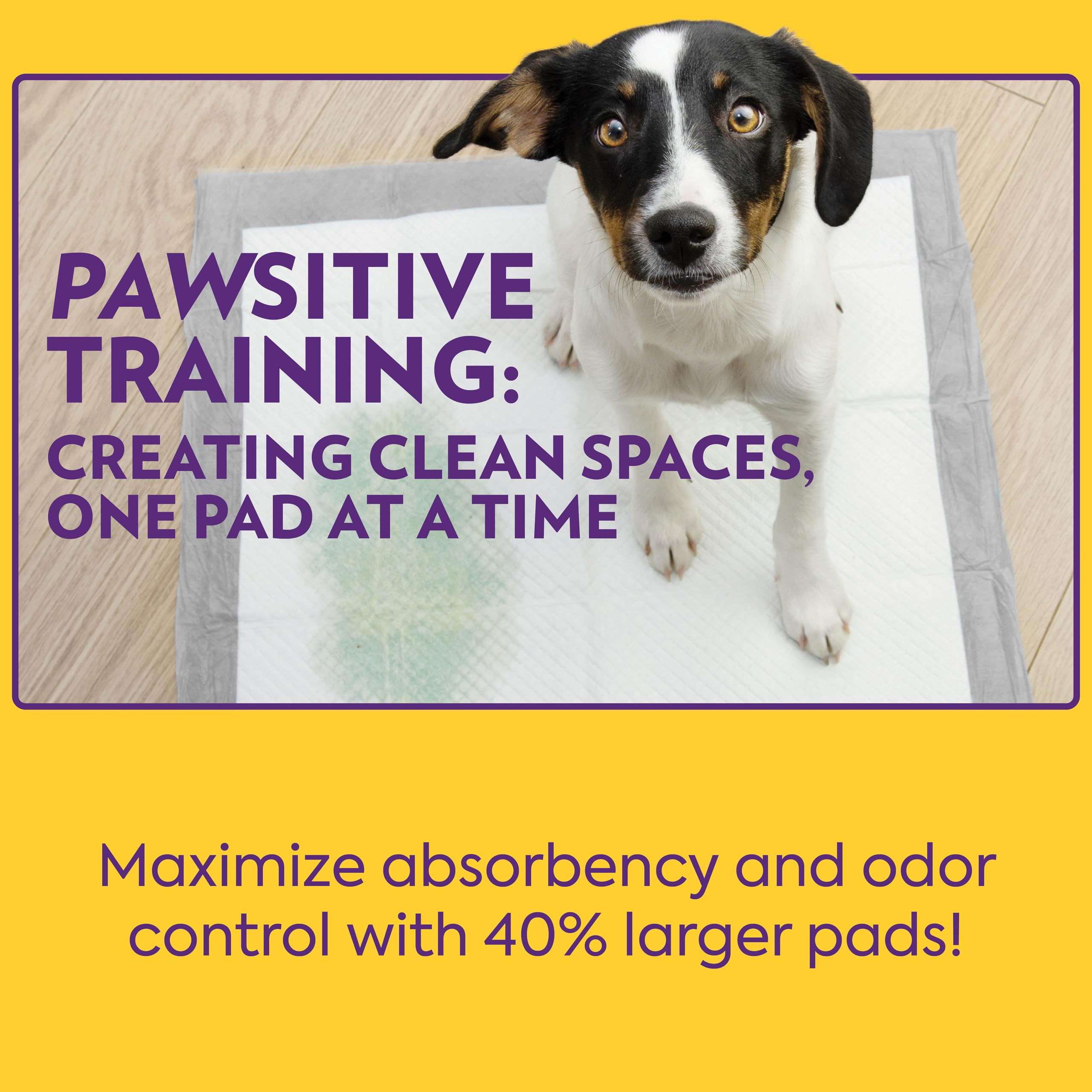 OUT! PetCare XL quick-dry liner speeds cleanup after accidents.