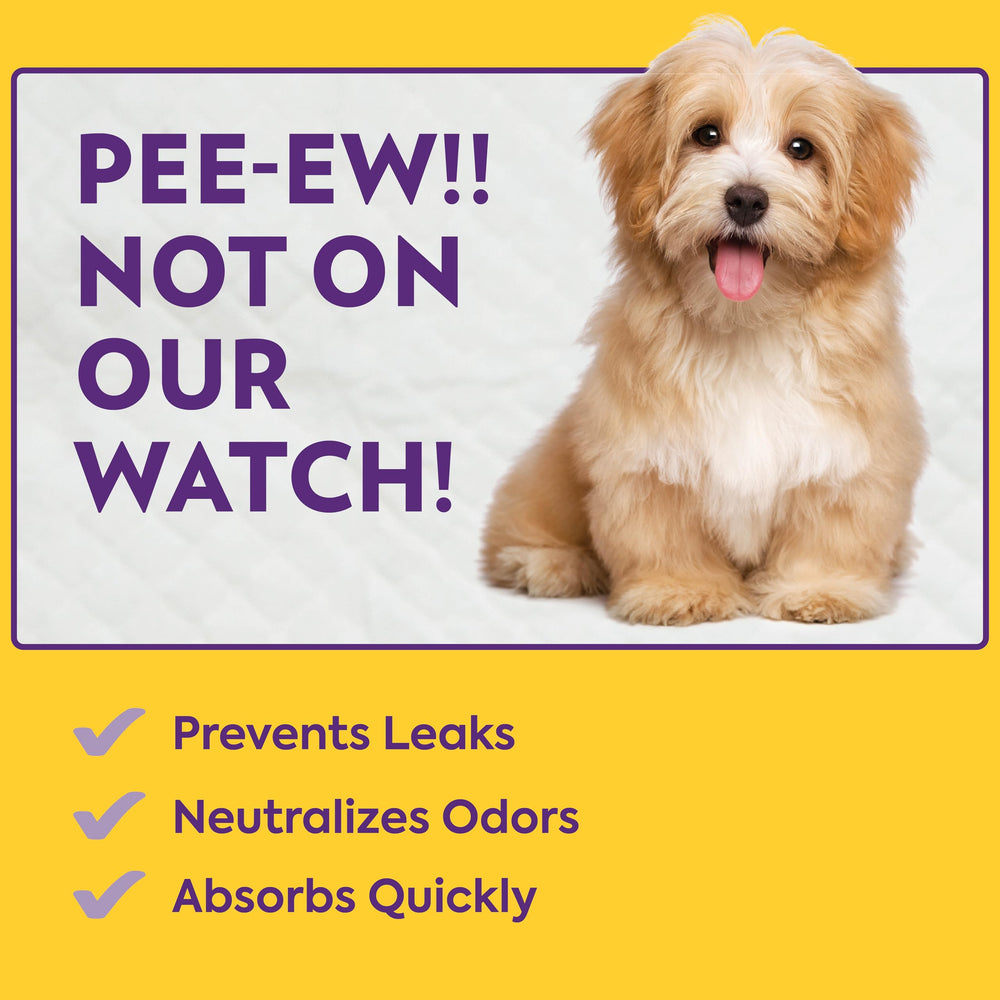 OUT! PetCare XL pads travel-friendly for on-the-go potty needs.
