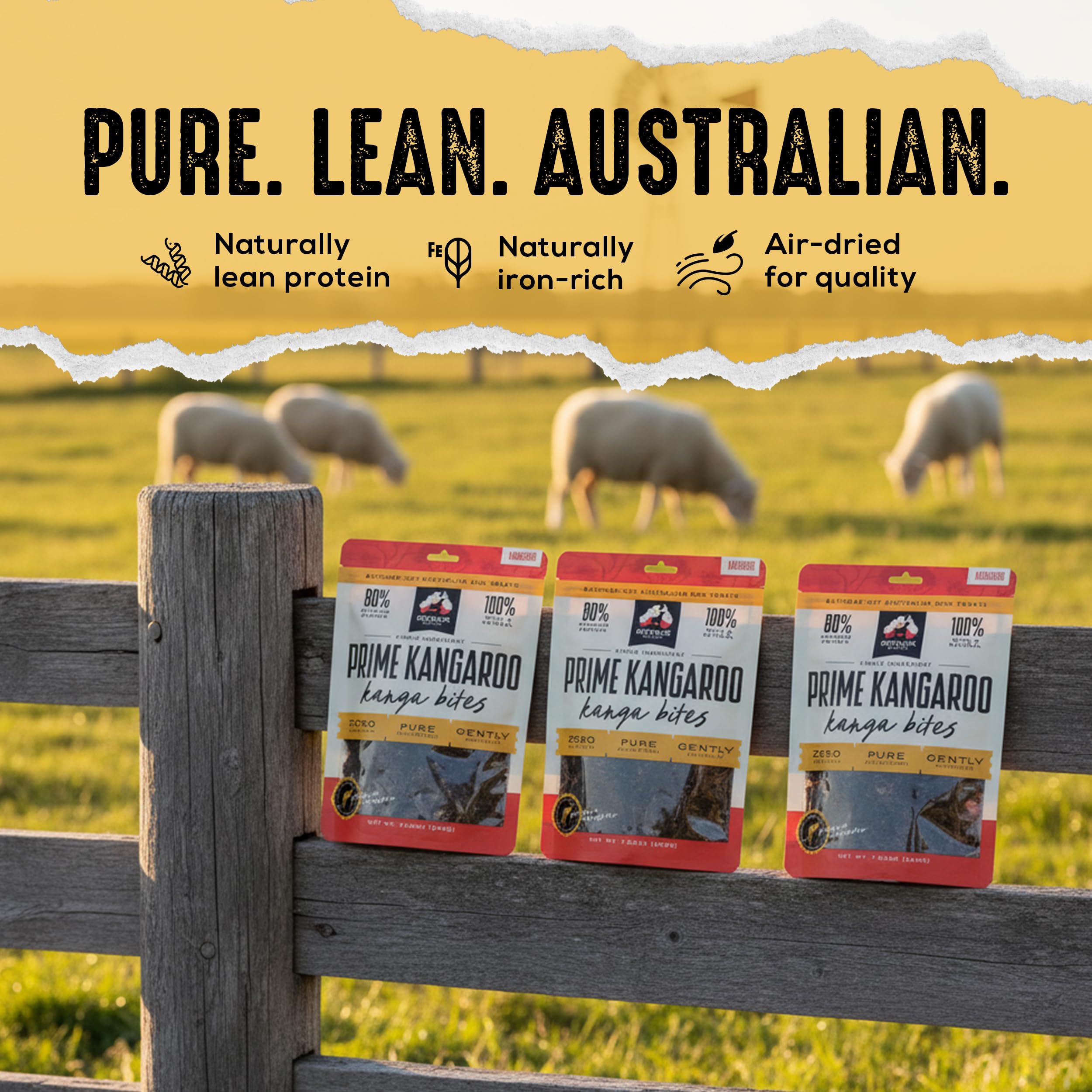 Back-of-pack info about ingredients and nutrition highlights.