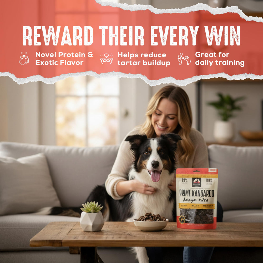 Small bite-sized kangaroo treats ready for rewards and training.