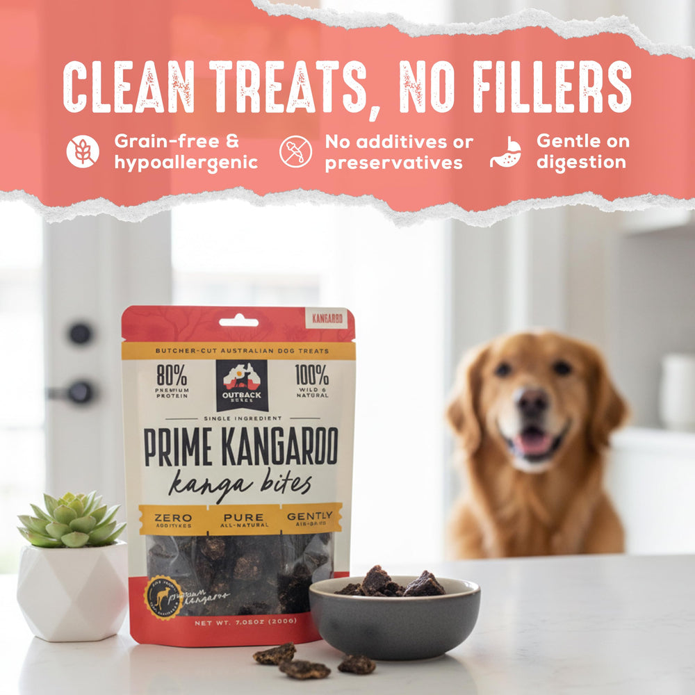 Single-ingredient kangaroo bites ideal for dogs with sensitivities.