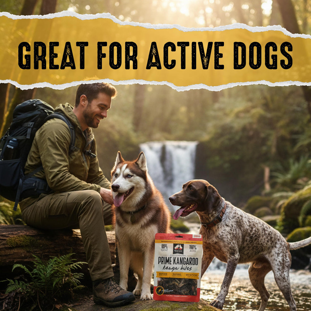 Bag front of Outback Bones Prime Kangaroo jerky bites.