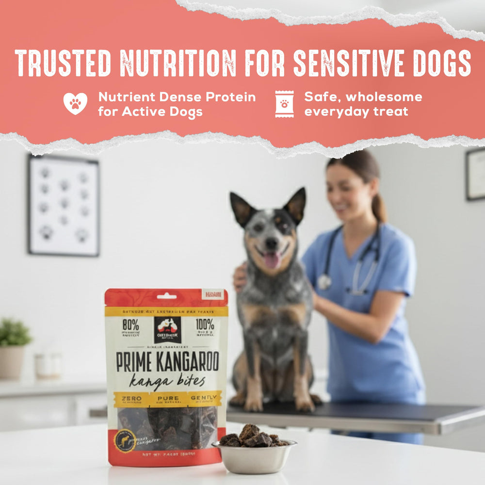Serving-size piece of Kangaroo jerky bites for daily treats.