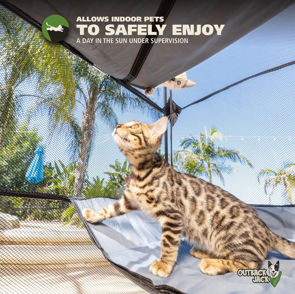 Outback Jack Catio Portable Foldable Design for easy transport and storage.