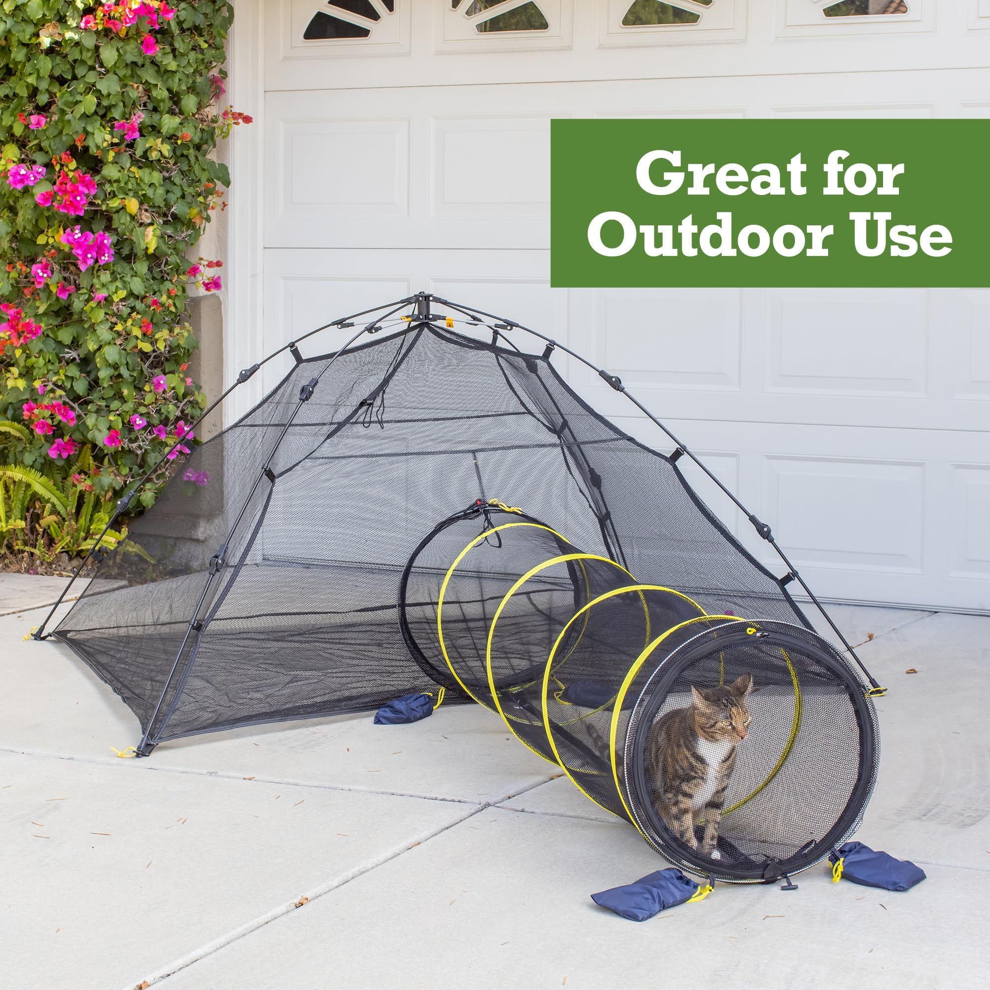 Outback Jack outdoor cat enclosure with 360-degree view for play.