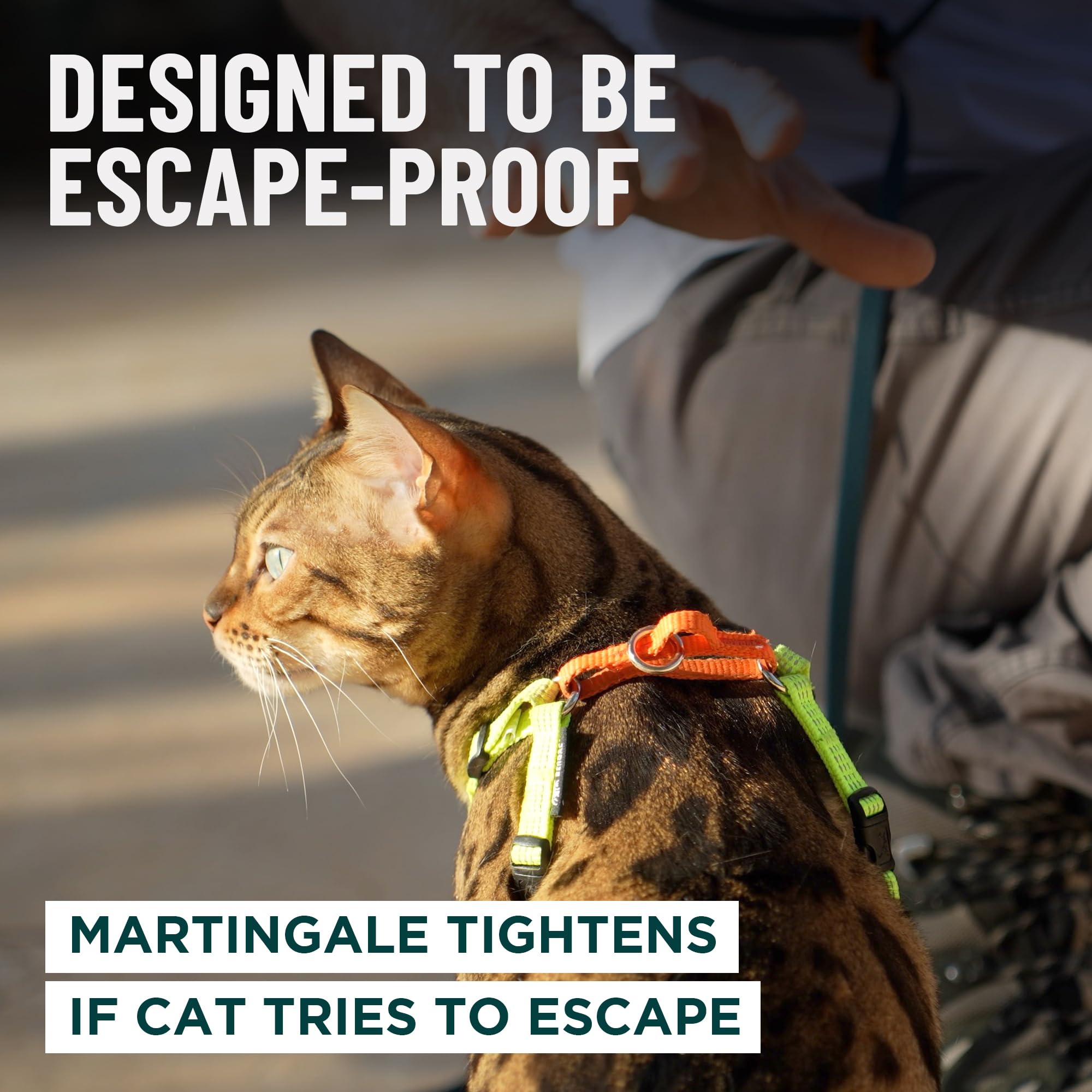 OutdoorBengal Always On adjustable straps ensure secure fit on different cat sizes