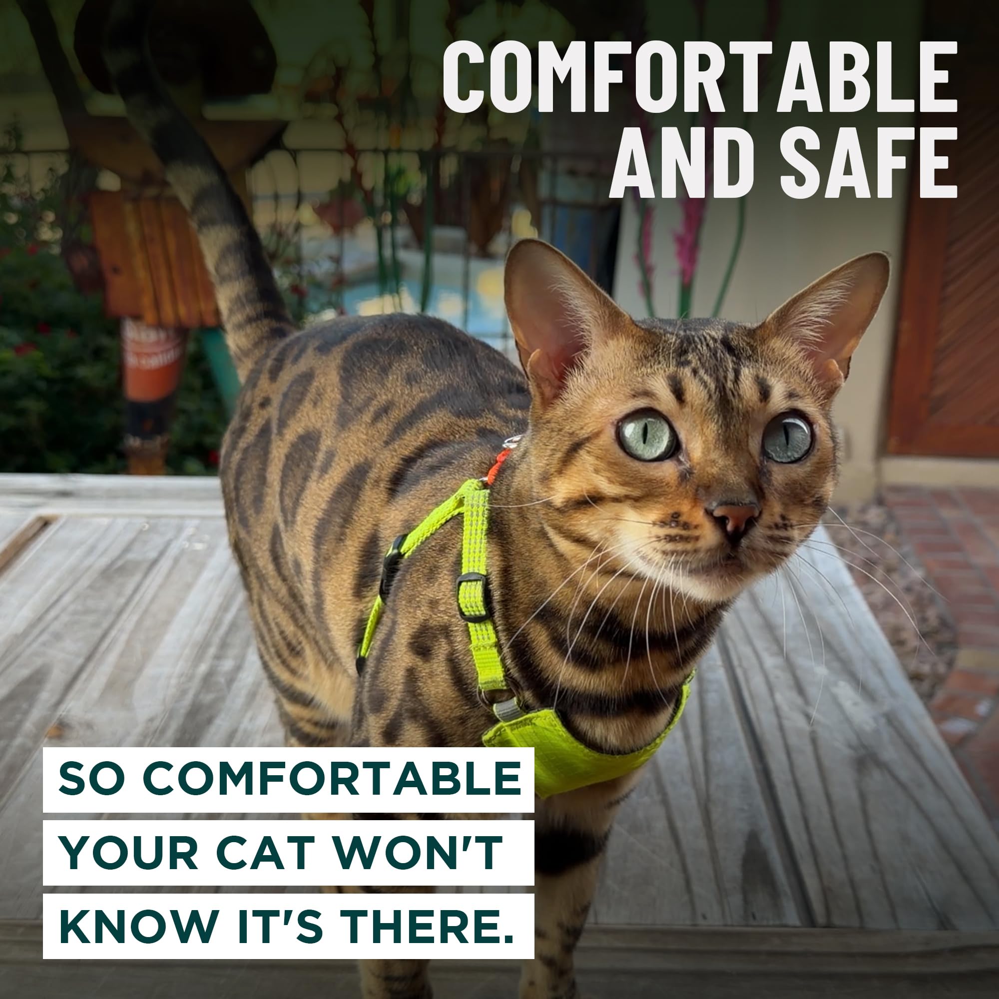 OutdoorBengal Always On easy on-off design simplifies quick harnessing and leash use