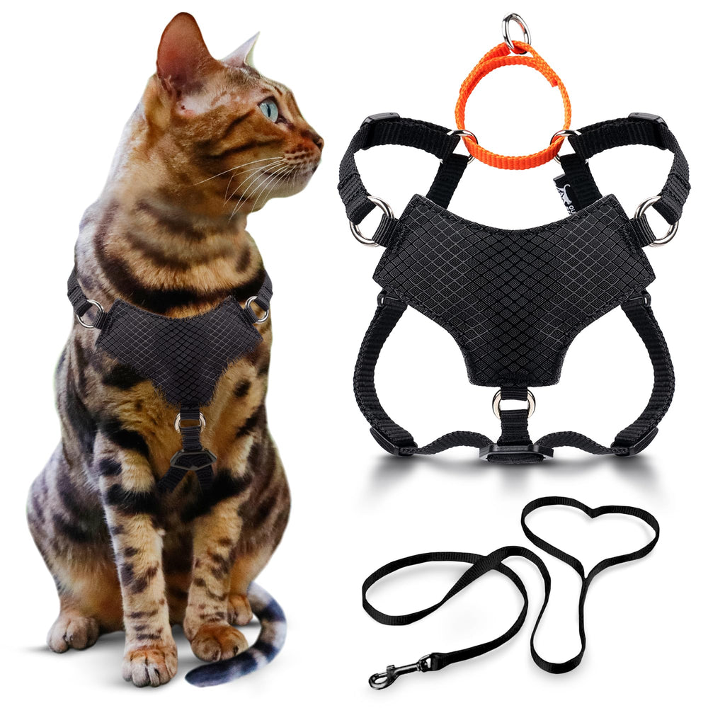 OutdoorBengal Always On harness back loop for escape-proof control during walks