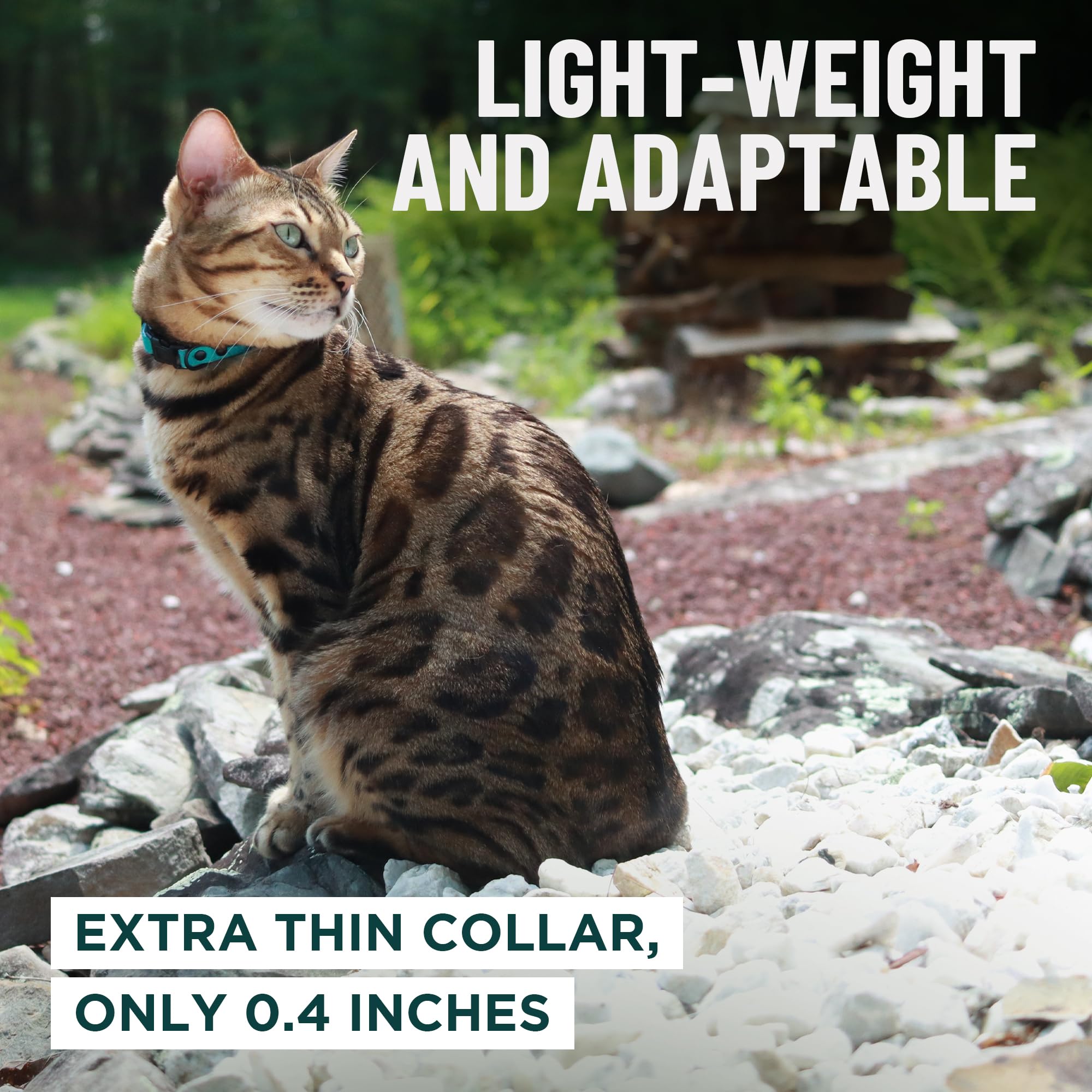 OutdoorBengal Black Cat Collar adjustable-buckle ensures a secure, comfortable fit