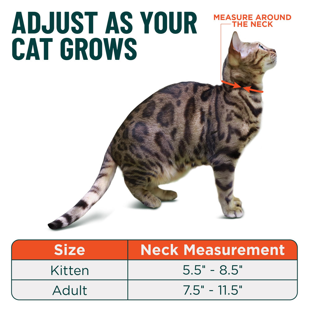 OutdoorBengal Black Cat Collar color-options with bold and subtle shades for every style